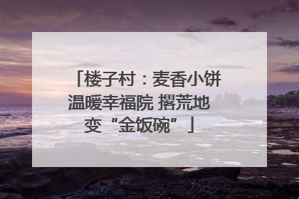 楼子村：麦香小饼温暖幸福院 撂荒地变“金饭碗”